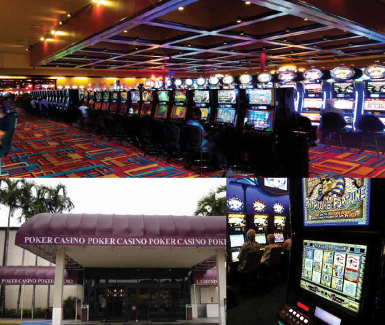 seminole casino hollywood bingo